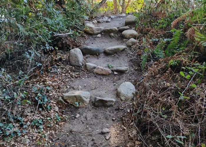 L'albizia Acces Prive Riviere *