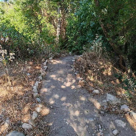 L'albizia Accès Privé Rivière * Porto-Vecchio (Corsica)