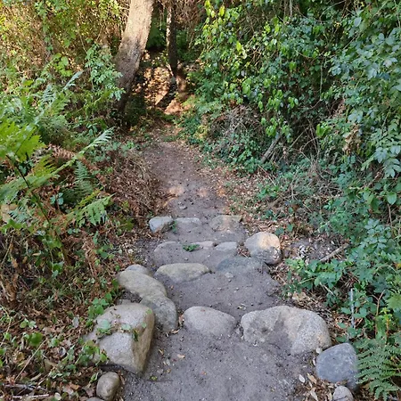 L'albizia Acces Prive Riviere Порто-Веккіо