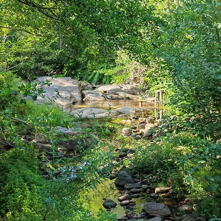 Вілла L'albizia Acces Prive Riviere