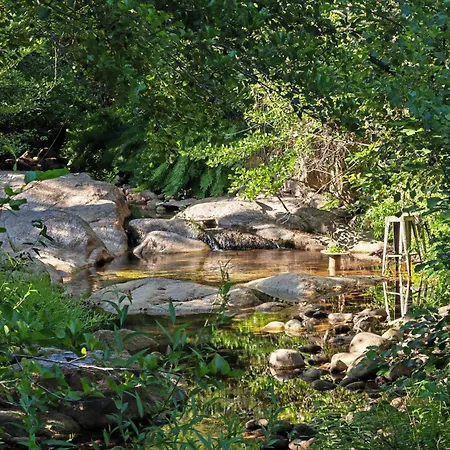 L'albizia Acces Prive Riviere Villa