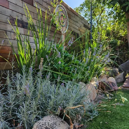 Вілла L'albizia Acces Prive Riviere *