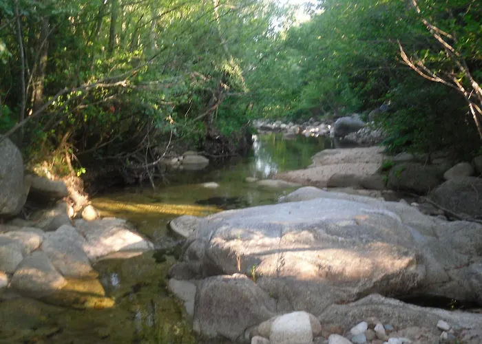 L'albizia Acces Prive Riviere Villa *