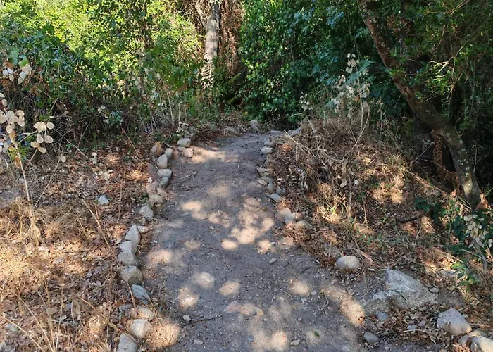 L'albizia Accès Privé Rivière * Porto Vecchio