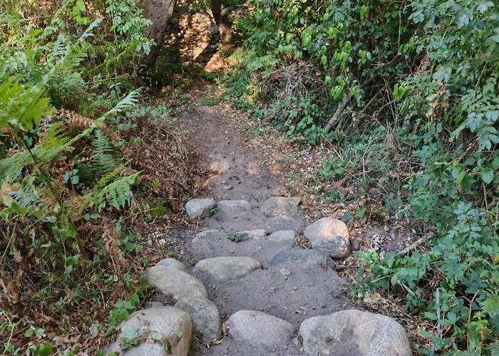 L'albizia Accès Privé Rivière Porto Vecchio