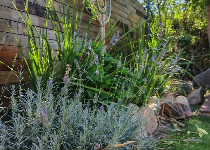 Villa L'albizia Accès Privé Rivière *